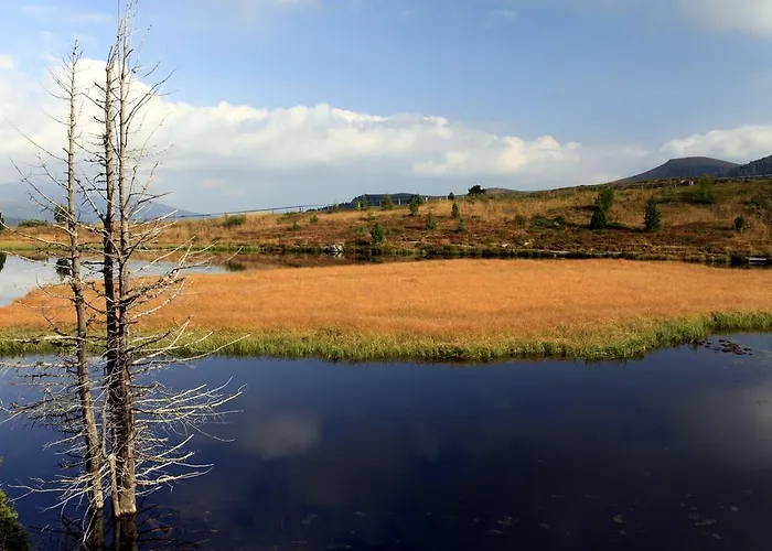 Отель Sonnalm - Spa,idyll,dining